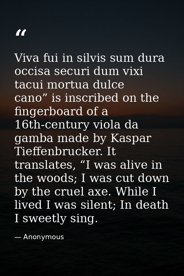 Viva fui in silvis sum dura occisa securi dum vixi tacui mortua dulce cano” is inscribed on the fingerboard of a 16th-ce — Anonymous