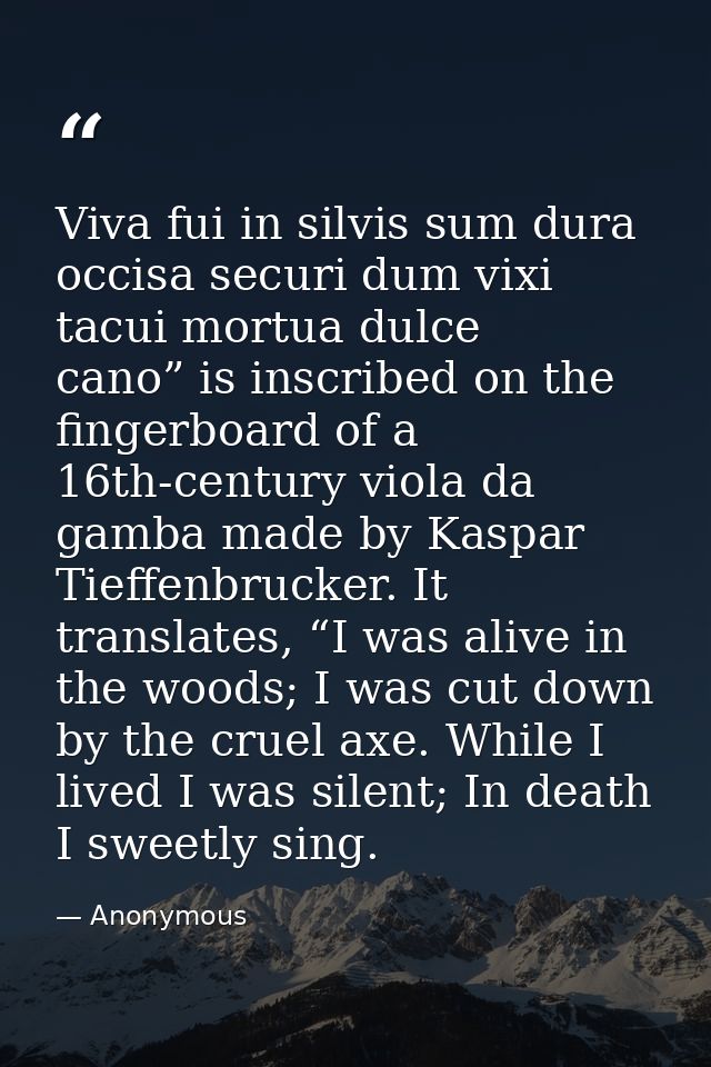 Viva fui in silvis sum dura occisa securi dum vixi tacui mortua dulce cano” is inscribed on the fingerboard of a 16th-ce — Anonymous