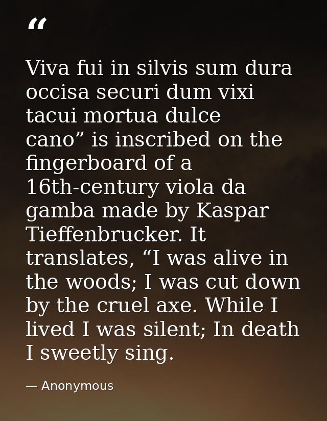 Viva fui in silvis sum dura occisa securi dum vixi tacui mortua dulce cano” is inscribed on the fingerboard of a 16th-ce — Anonymous
