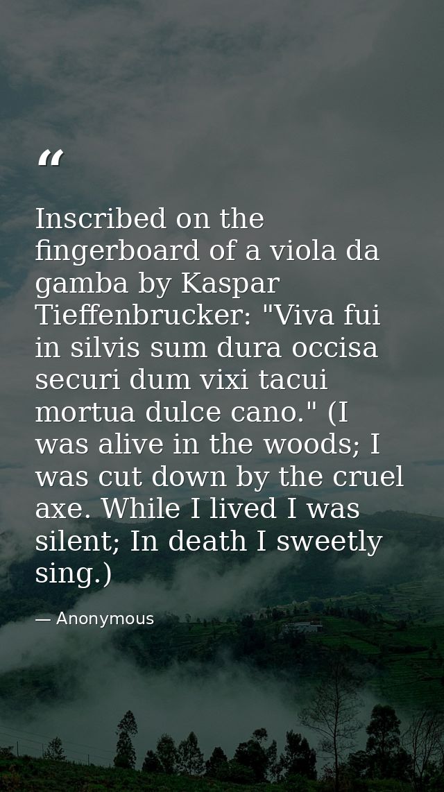 Inscribed on the fingerboard of a viola da gamba by Kaspar Tieffenbrucker: "Viva fui in silvis sum dura occisa securi du — Anonymous