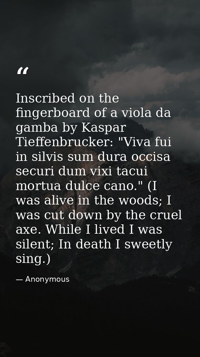 Inscribed on the fingerboard of a viola da gamba by Kaspar Tieffenbrucker: "Viva fui in silvis sum dura occisa securi du — Anonymous