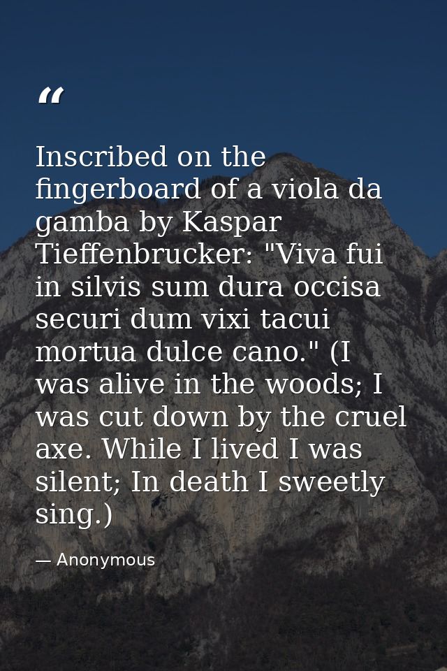 Inscribed on the fingerboard of a viola da gamba by Kaspar Tieffenbrucker: "Viva fui in silvis sum dura occisa securi du — Anonymous