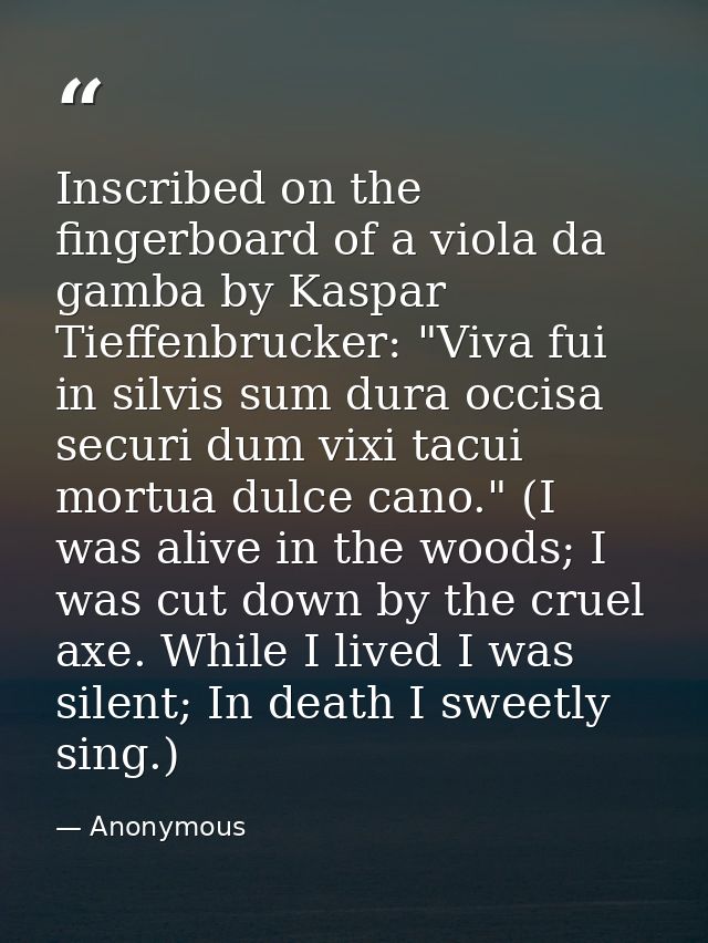Inscribed on the fingerboard of a viola da gamba by Kaspar Tieffenbrucker: "Viva fui in silvis sum dura occisa securi du — Anonymous