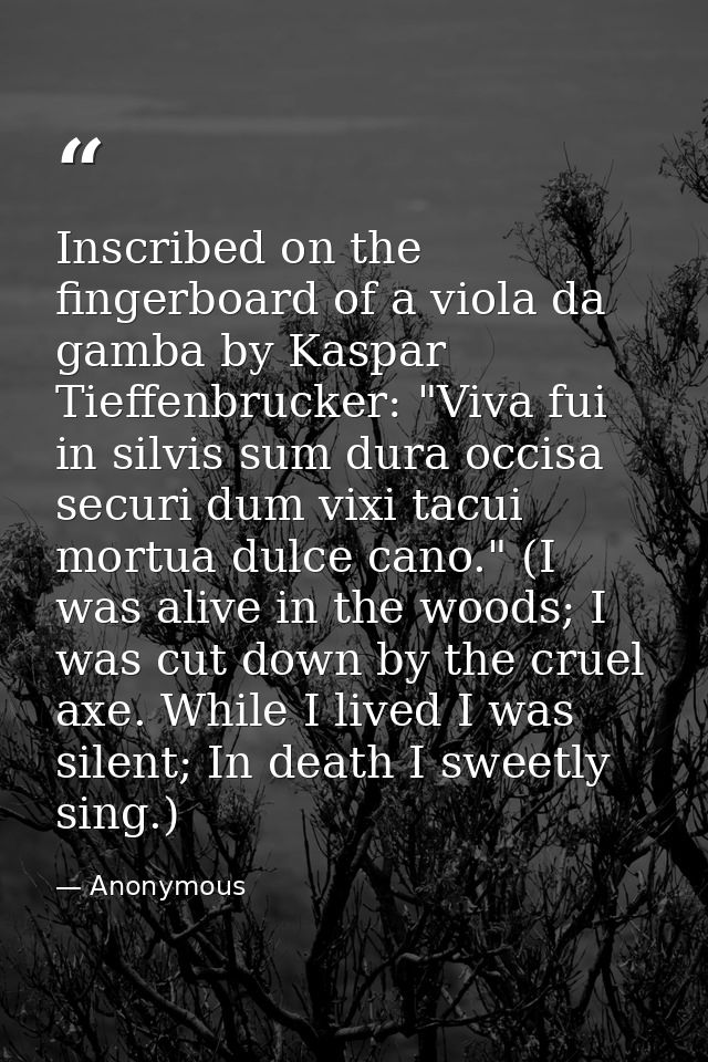 Inscribed on the fingerboard of a viola da gamba by Kaspar Tieffenbrucker: "Viva fui in silvis sum dura occisa securi du — Anonymous