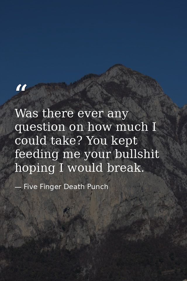 Was there ever any question on how much I could take? You kept feeding me your bullshit hoping I would break. — Five Finger Death Punch