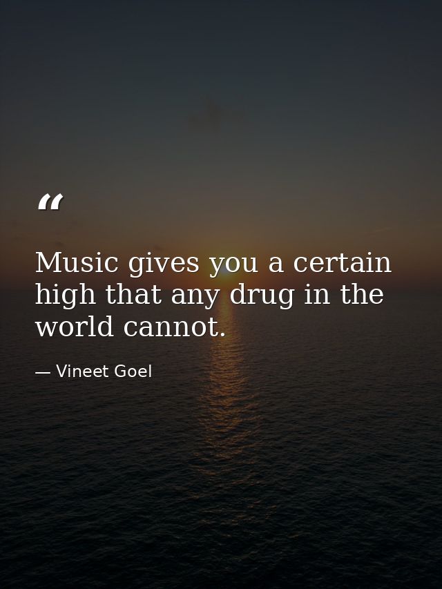 Music gives you a certain high that any drug in the world cannot. — Vineet Goel