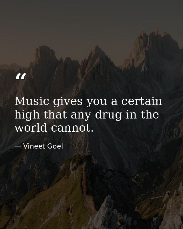 Music gives you a certain high that any drug in the world cannot. — Vineet Goel