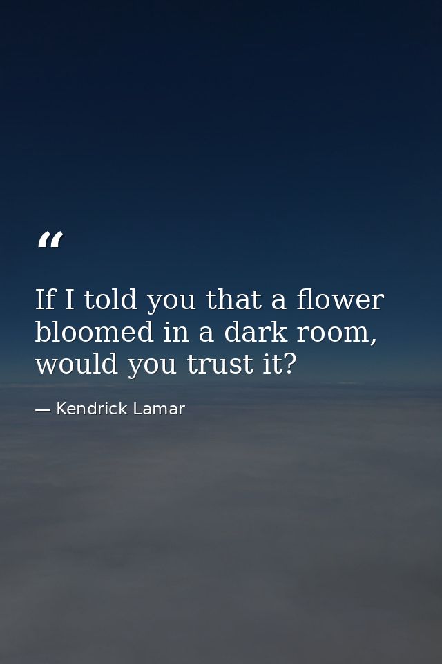 If I told you that a flower bloomed in a dark room, would you trust it? — Kendrick Lamar