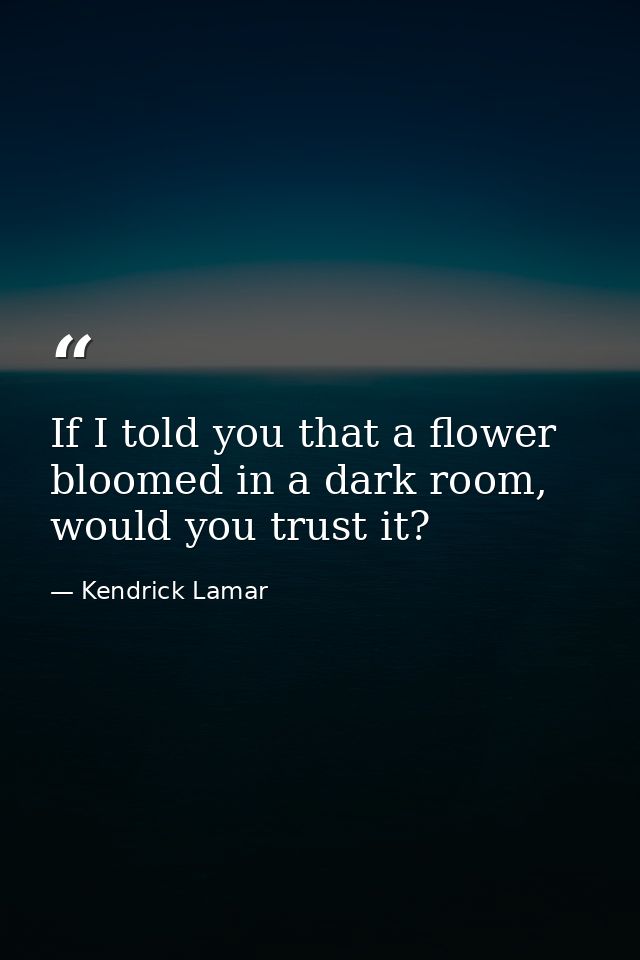 If I told you that a flower bloomed in a dark room, would you trust it? — Kendrick Lamar