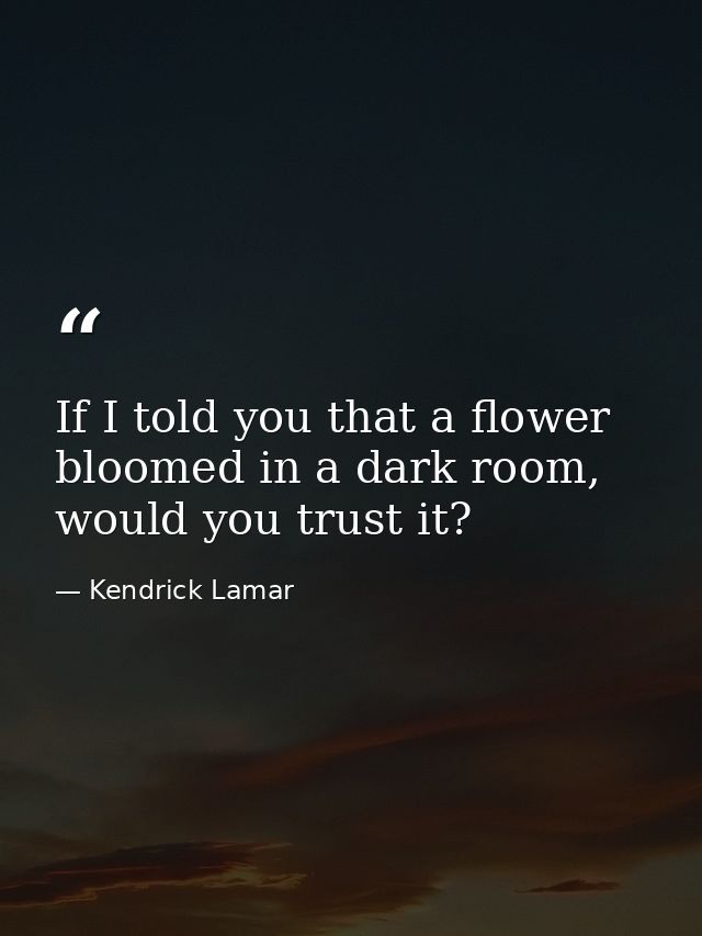 If I told you that a flower bloomed in a dark room, would you trust it? — Kendrick Lamar