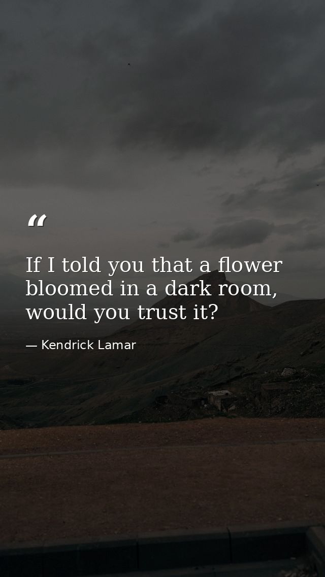 If I told you that a flower bloomed in a dark room, would you trust it? — Kendrick Lamar