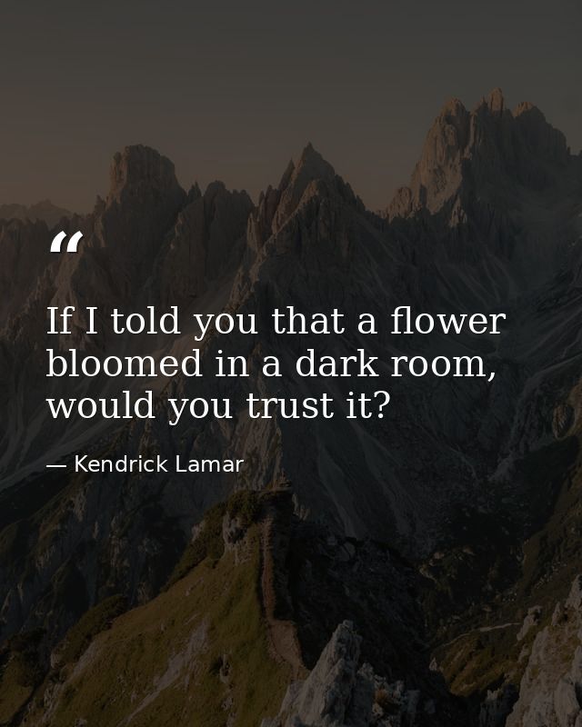 If I told you that a flower bloomed in a dark room, would you trust it? — Kendrick Lamar