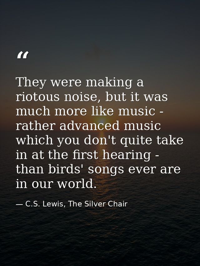 They were making a riotous noise, but it was much more like music - rather advanced music which you don't quite take in  — C.S. Lewis, The Silver Chair
