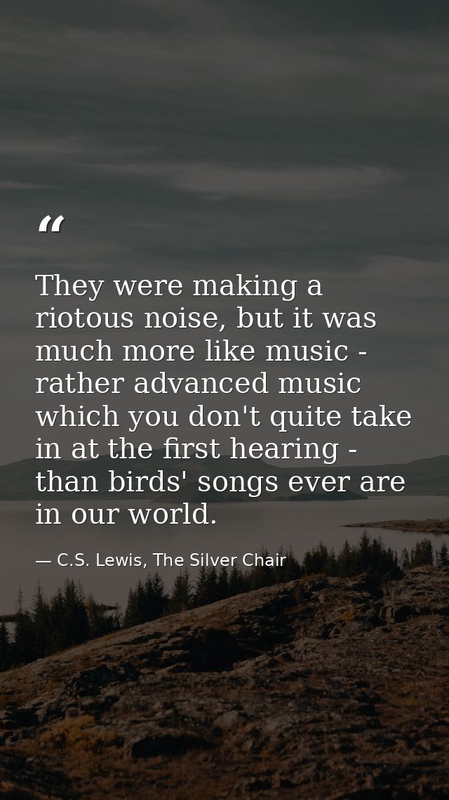 They were making a riotous noise, but it was much more like music - rather advanced music which you don't quite take in  — C.S. Lewis, The Silver Chair