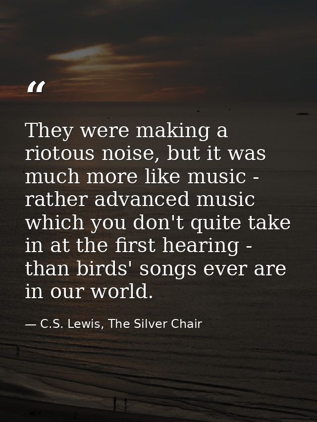 They were making a riotous noise, but it was much more like music - rather advanced music which you don't quite take in  — C.S. Lewis, The Silver Chair