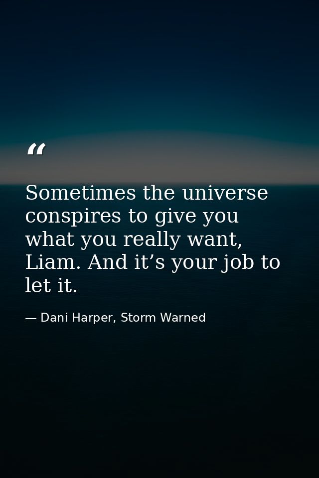 Sometimes the universe conspires to give you what you really want, Liam. And it’s your job to let it. — Dani Harper, Storm Warned