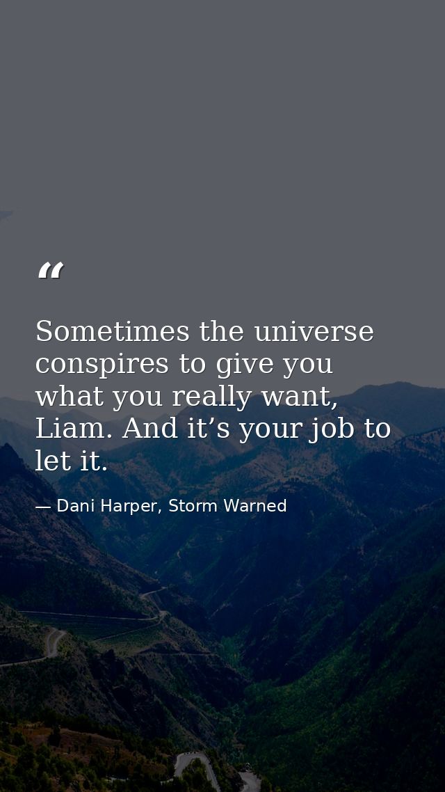 Sometimes the universe conspires to give you what you really want, Liam. And it’s your job to let it. — Dani Harper, Storm Warned