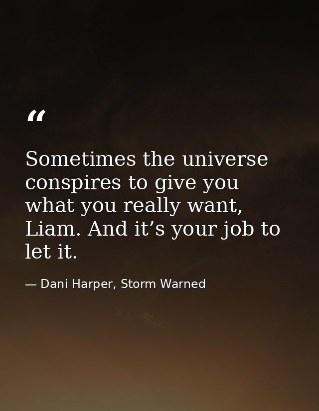 Sometimes the universe conspires to give you what you really want, Liam. And it’s your job to let it. — Dani Harper, Storm Warned