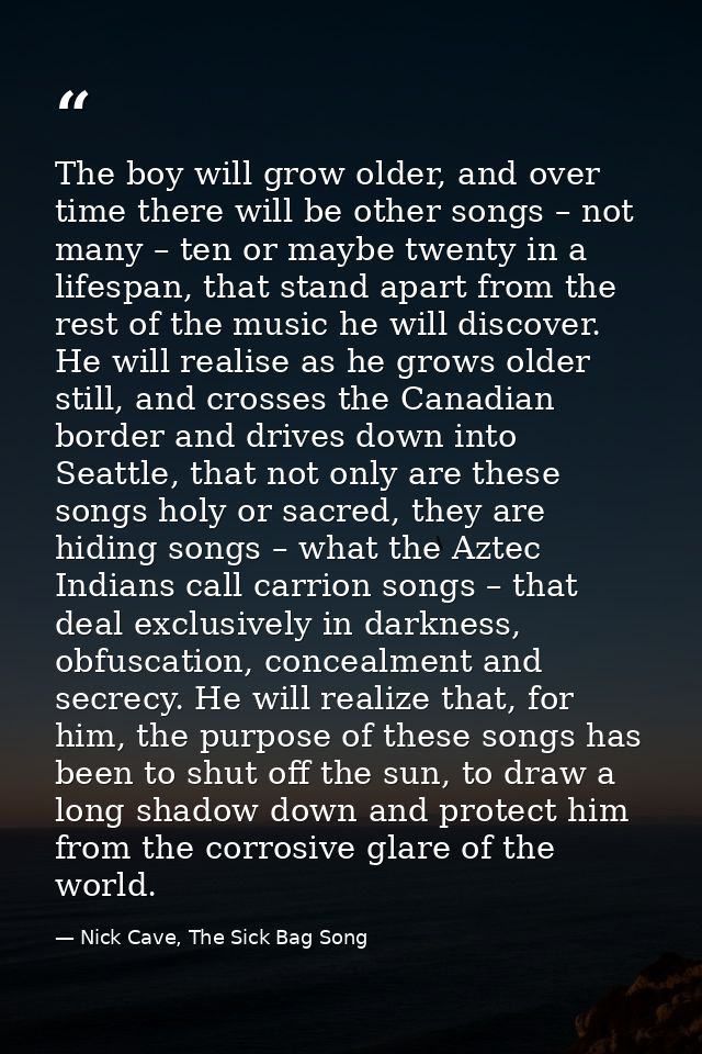 The boy will grow older, and over time there will be other songs – not many – ten or maybe twenty in a lifespan, that st — Nick Cave, The Sick Bag Song