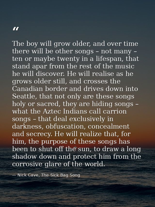 The boy will grow older, and over time there will be other songs – not many – ten or maybe twenty in a lifespan, that st — Nick Cave, The Sick Bag Song