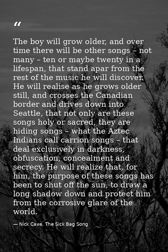 The boy will grow older, and over time there will be other songs – not many – ten or maybe twenty in a lifespan, that st — Nick Cave, The Sick Bag Song