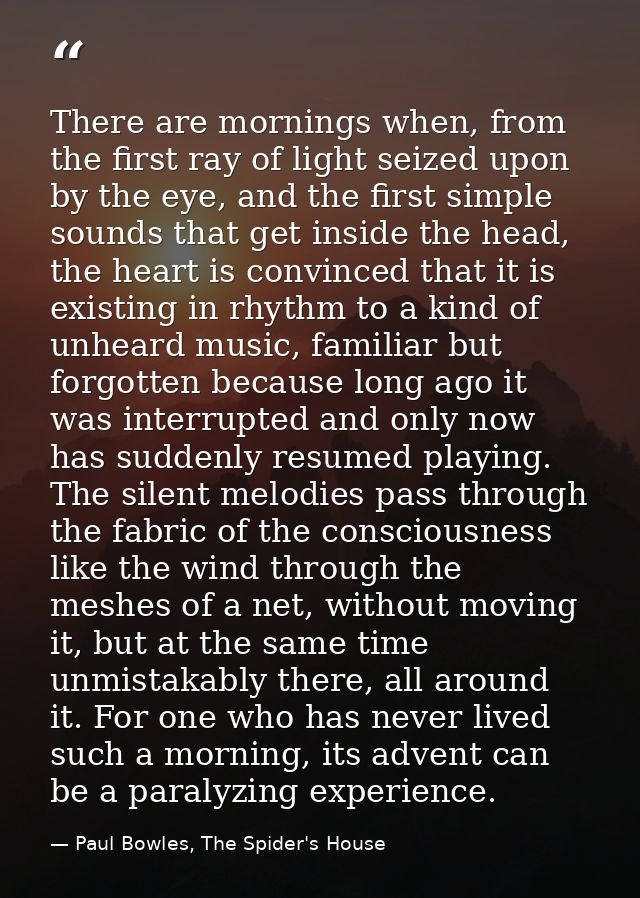 There are mornings when, from the first ray of light seized upon by the eye, and the first simple sounds that get inside — Paul Bowles, The Spider's House
