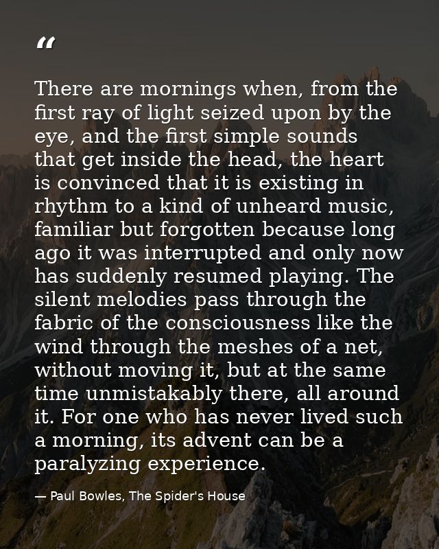 There are mornings when, from the first ray of light seized upon by the eye, and the first simple sounds that get inside — Paul Bowles, The Spider's House