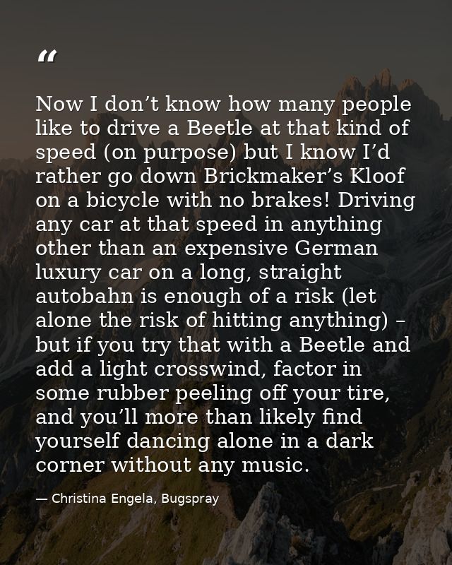 Now I don’t know how many people like to drive a Beetle at that kind of speed (on purpose) but I know I’d rather go down — Christina Engela, Bugspray