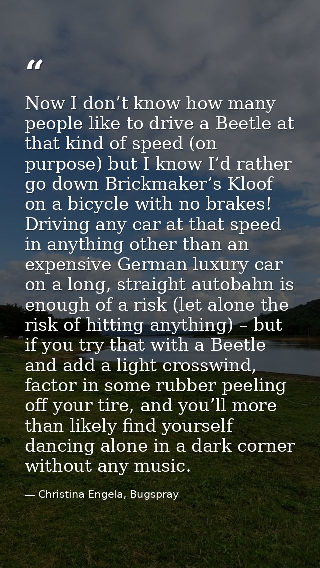 Now I don’t know how many people like to drive a Beetle at that kind of speed (on purpose) but I know I’d rather go down — Christina Engela, Bugspray