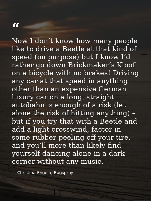 Now I don’t know how many people like to drive a Beetle at that kind of speed (on purpose) but I know I’d rather go down — Christina Engela, Bugspray