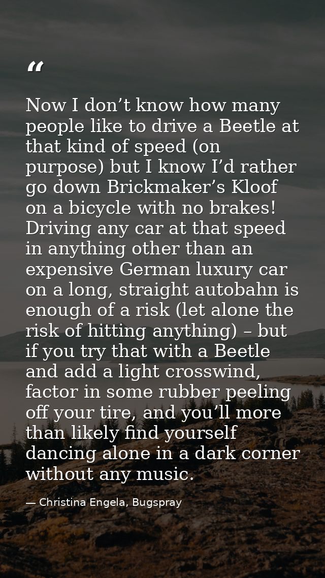 Now I don’t know how many people like to drive a Beetle at that kind of speed (on purpose) but I know I’d rather go down — Christina Engela, Bugspray