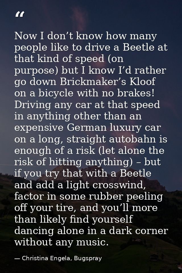 Now I don’t know how many people like to drive a Beetle at that kind of speed (on purpose) but I know I’d rather go down — Christina Engela, Bugspray