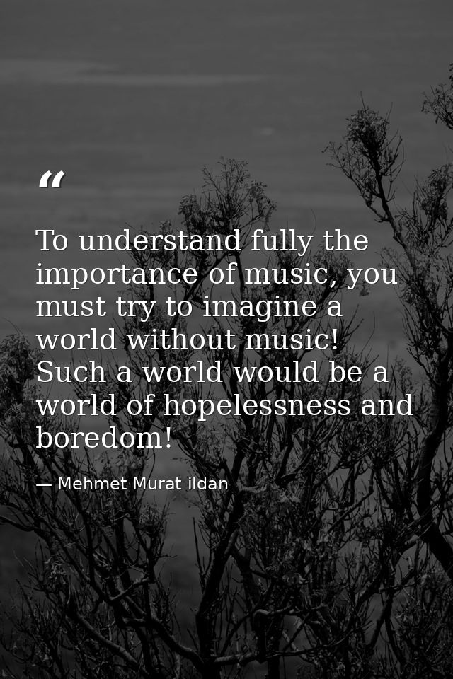 To understand fully the importance of music, you must try to imagine a world without music! Such a world would be a worl — Mehmet Murat ildan
