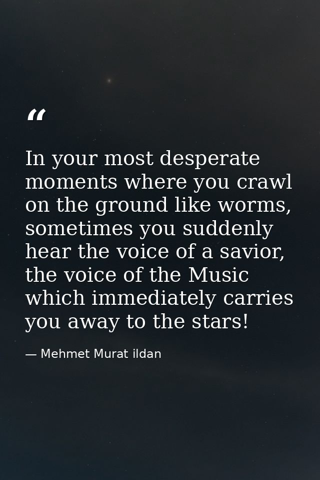 In your most desperate moments where you crawl on the ground like worms, sometimes you suddenly hear the voice of a savi — Mehmet Murat ildan