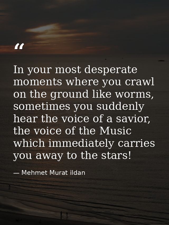 In your most desperate moments where you crawl on the ground like worms, sometimes you suddenly hear the voice of a savi — Mehmet Murat ildan