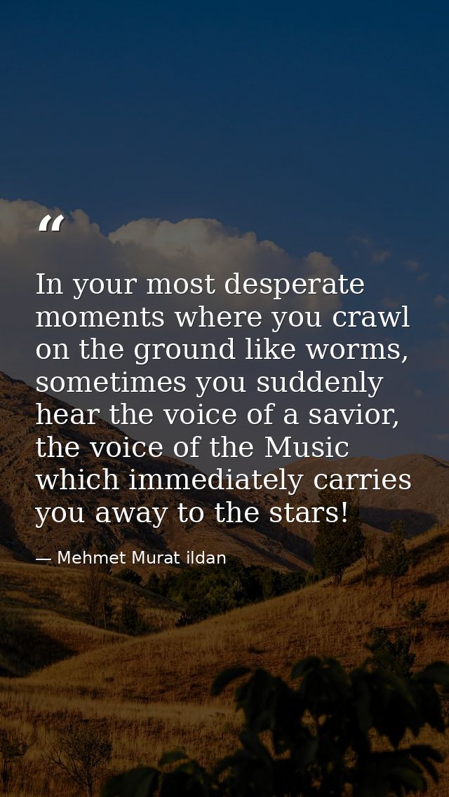 In your most desperate moments where you crawl on the ground like worms, sometimes you suddenly hear the voice of a savi — Mehmet Murat ildan