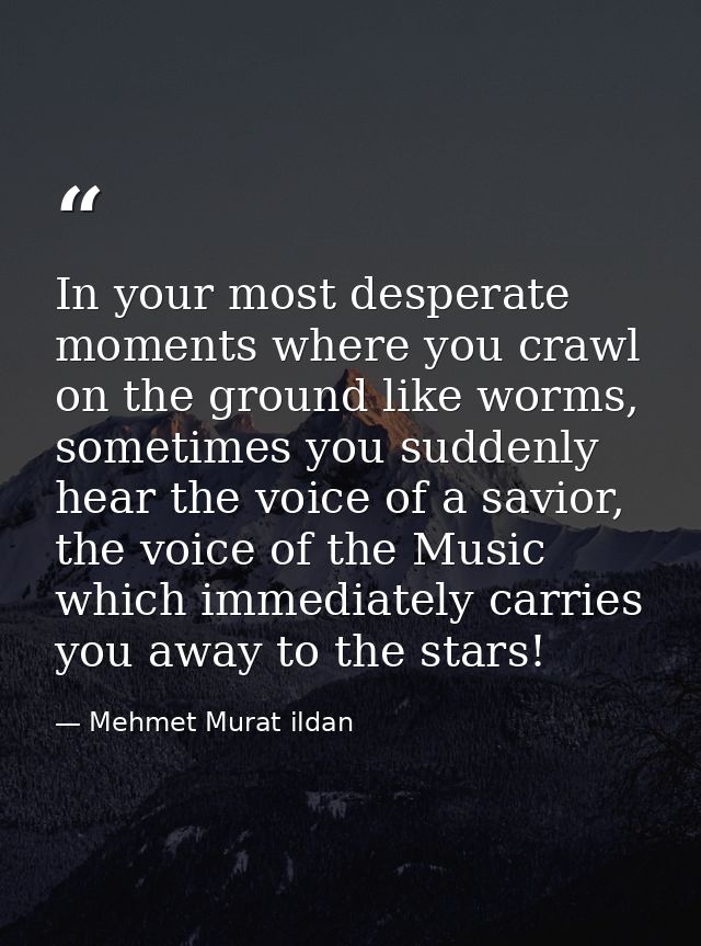 In your most desperate moments where you crawl on the ground like worms, sometimes you suddenly hear the voice of a savi — Mehmet Murat ildan
