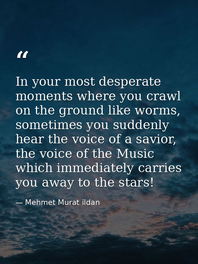 In your most desperate moments where you crawl on the ground like worms, sometimes you suddenly hear the voice of a savi — Mehmet Murat ildan