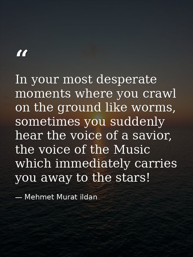 In your most desperate moments where you crawl on the ground like worms, sometimes you suddenly hear the voice of a savi — Mehmet Murat ildan