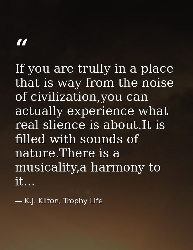 If you are trully in a place that is way from the noise of civilization,you can actually experience what real slience is — K.J. Kilton, Trophy Life