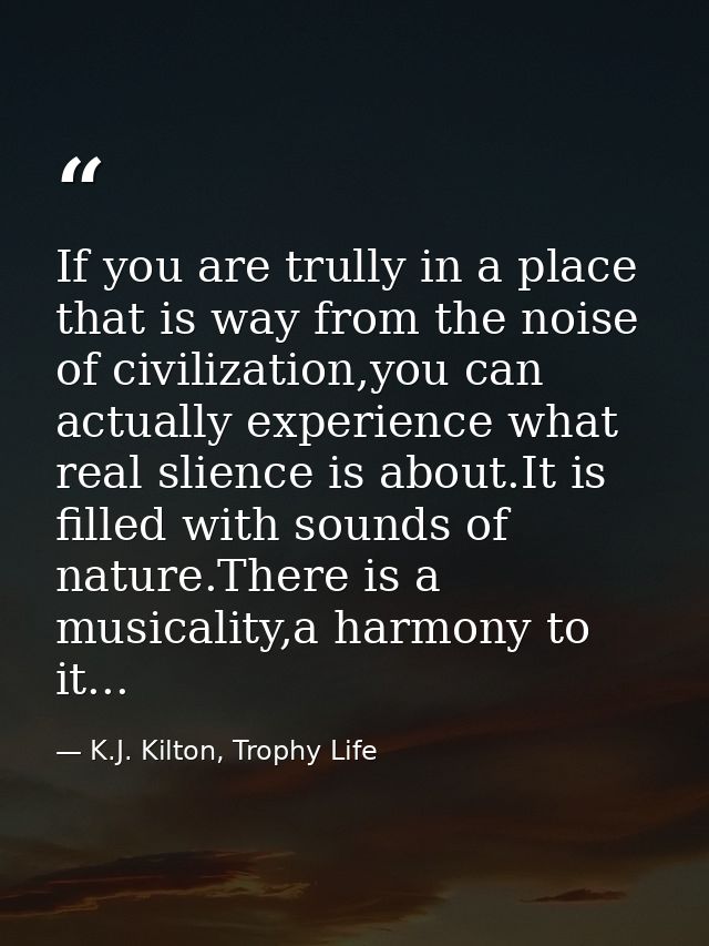 If you are trully in a place that is way from the noise of civilization,you can actually experience what real slience is — K.J. Kilton, Trophy Life