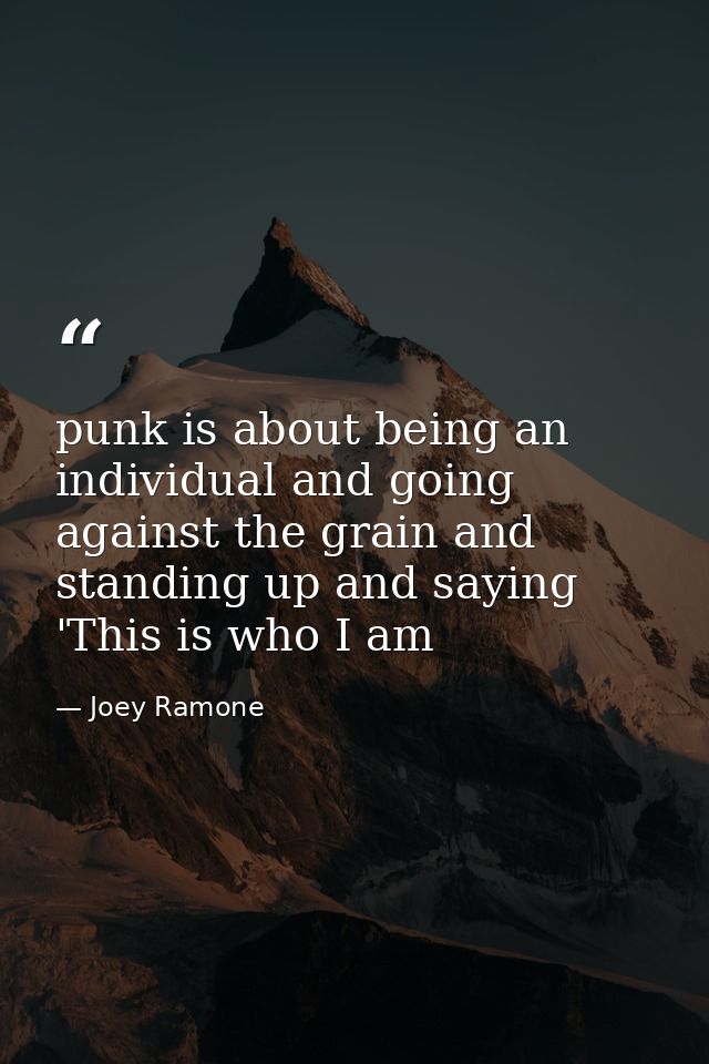 punk is about being an individual and going against the grain and standing up and saying 'This is who I am — Joey Ramone
