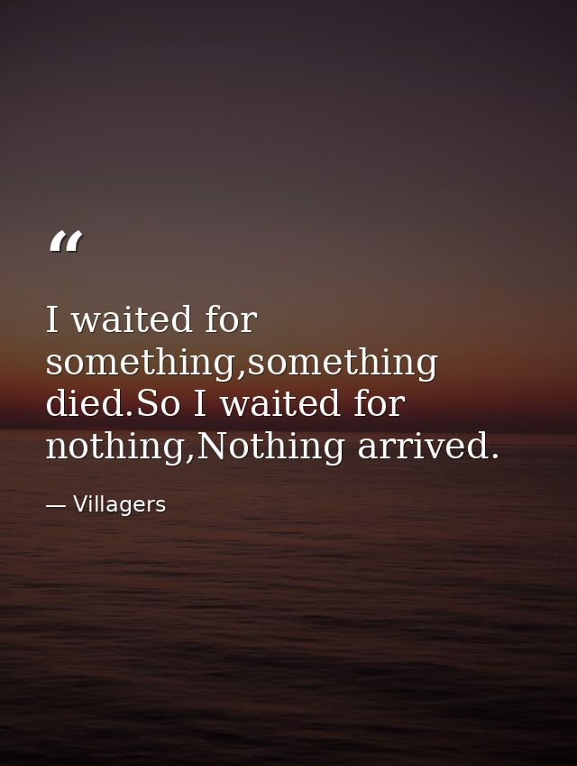 I waited for something,something died.So I waited for nothing,Nothing arrived. — Villagers