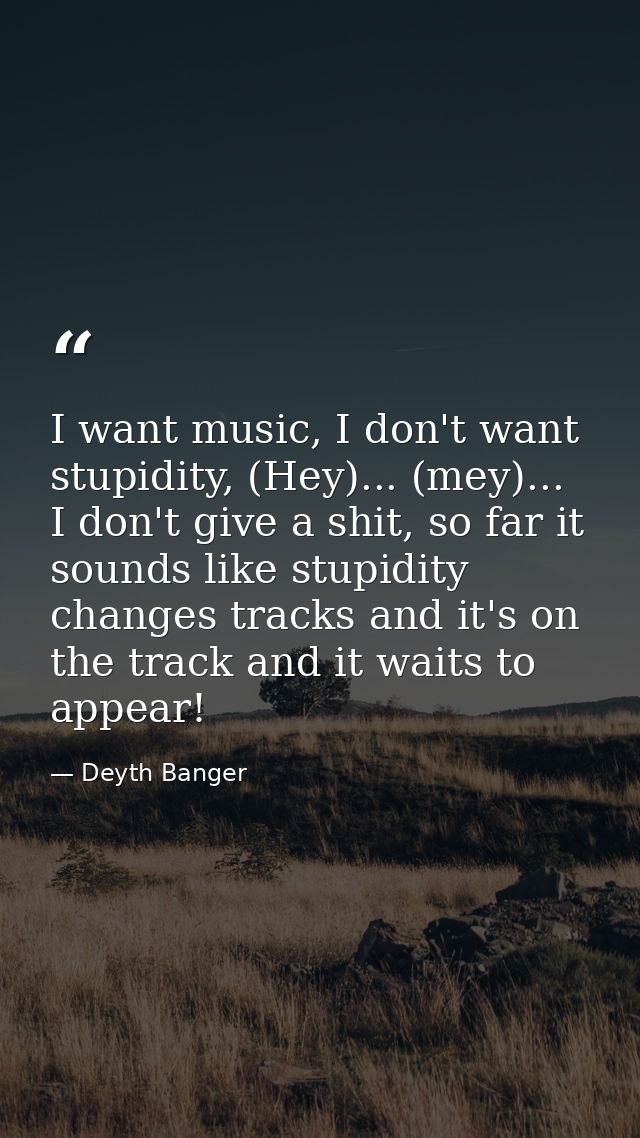 I want music, I don't want stupidity, (Hey)... (mey)... I don't give a shit, so far it sounds like stupidity changes tra — Deyth Banger