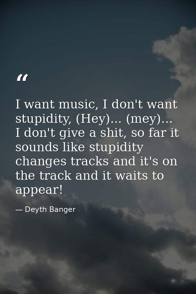 I want music, I don't want stupidity, (Hey)... (mey)... I don't give a shit, so far it sounds like stupidity changes tra — Deyth Banger