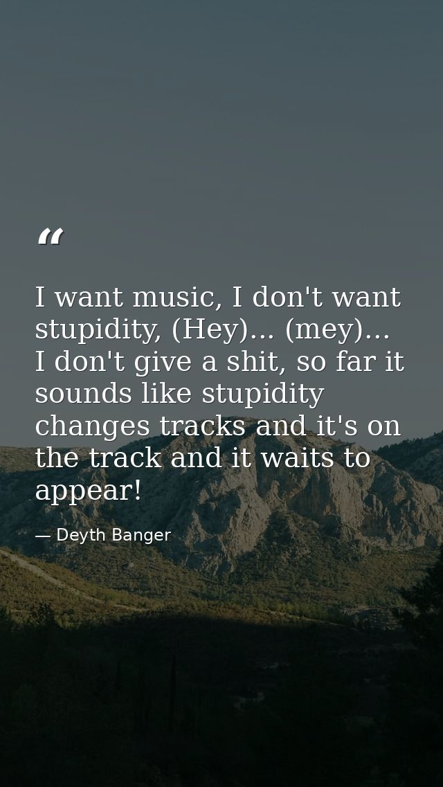 I want music, I don't want stupidity, (Hey)... (mey)... I don't give a shit, so far it sounds like stupidity changes tra — Deyth Banger
