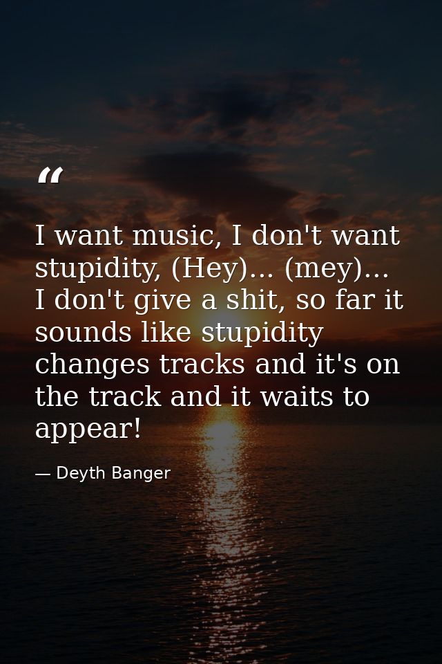 I want music, I don't want stupidity, (Hey)... (mey)... I don't give a shit, so far it sounds like stupidity changes tra — Deyth Banger