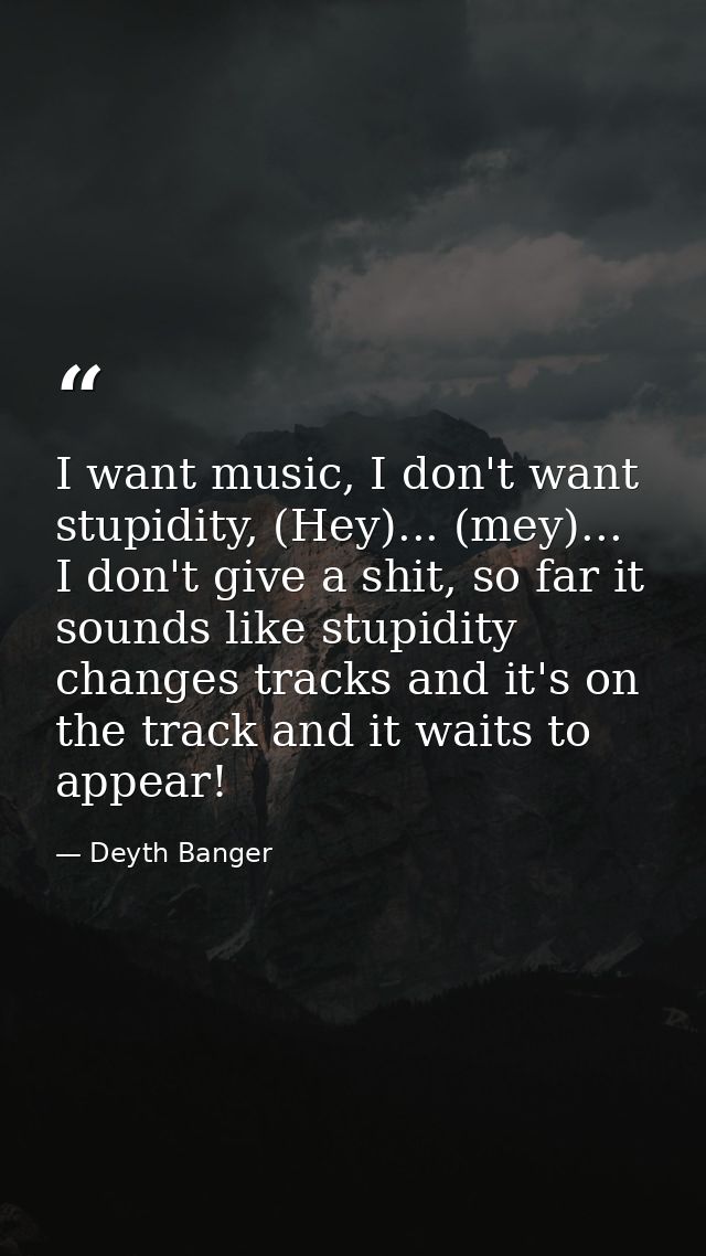 I want music, I don't want stupidity, (Hey)... (mey)... I don't give a shit, so far it sounds like stupidity changes tra — Deyth Banger