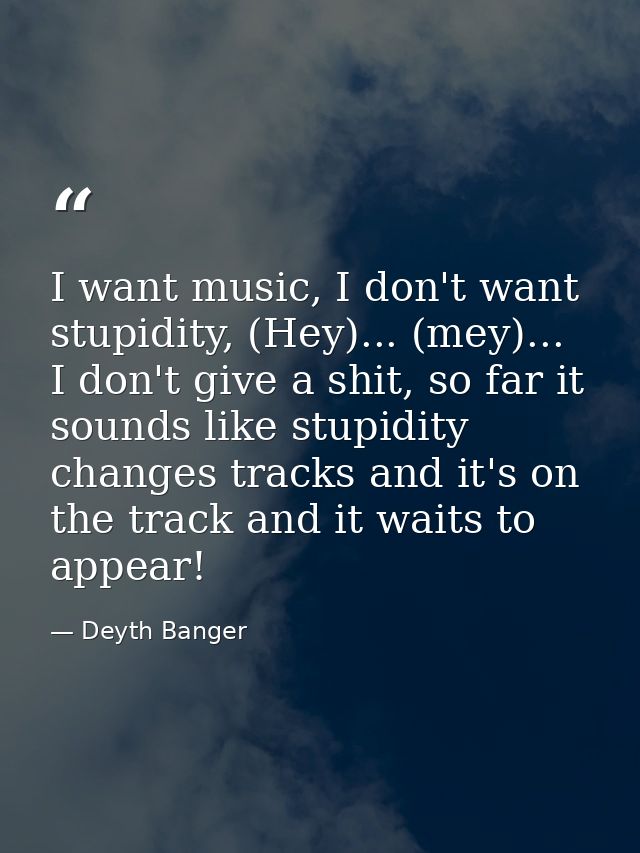 I want music, I don't want stupidity, (Hey)... (mey)... I don't give a shit, so far it sounds like stupidity changes tra — Deyth Banger