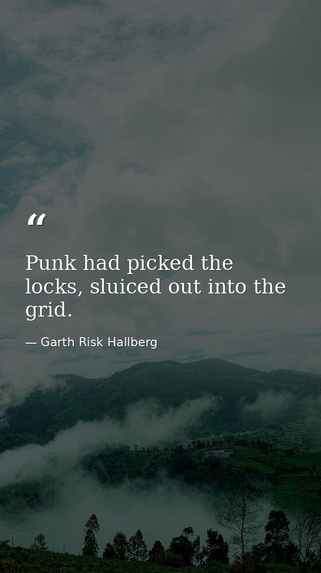 Punk had picked the locks, sluiced out into the grid. — Garth Risk Hallberg